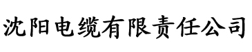 又大又粗又长一级黄色视频电缆厂logo